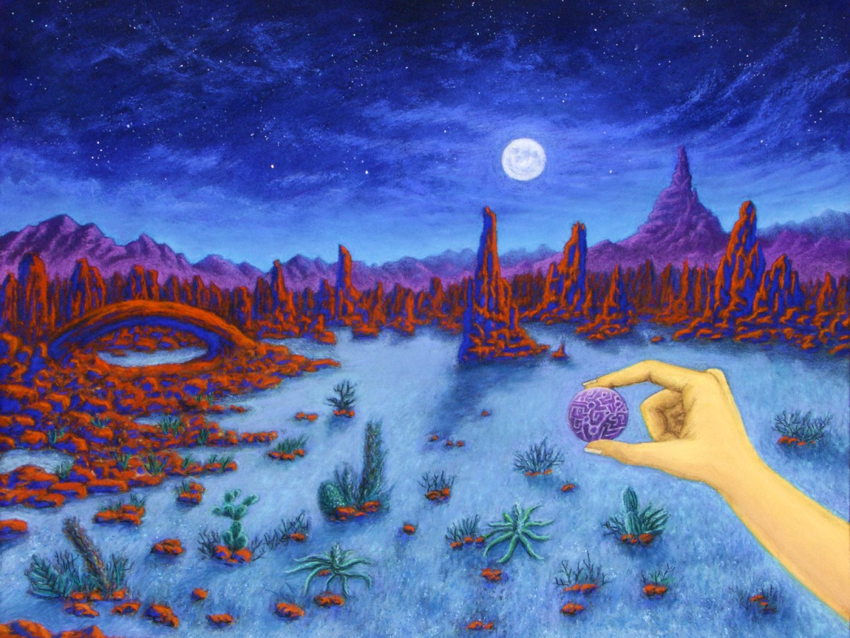 The Tale of Rin Book 1 Now Available in Print and for Kindle